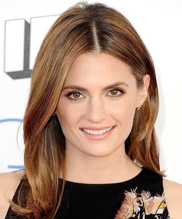 Stana Katic photo