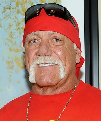 Hulk Hogan photo