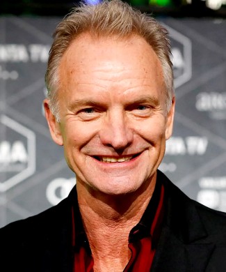 Sting photo