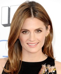 Stana Katic photo